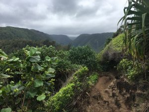 Pololu Valley Big Island of Hawaii