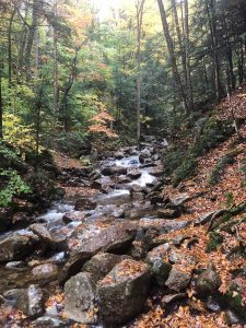 Flume Gorge New Hampshire